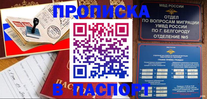 купить прописку в Гаджиево